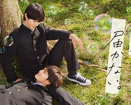 唐山网站建设和优化